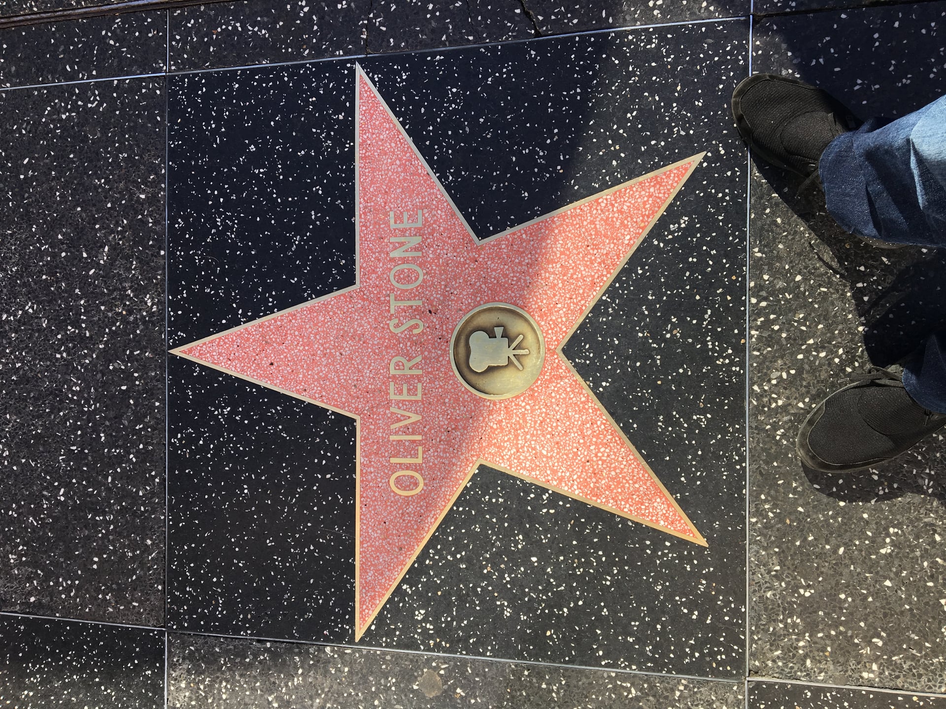 Hollywood Walk of Fame star on the sidewalk — a signature TNT Tours stop